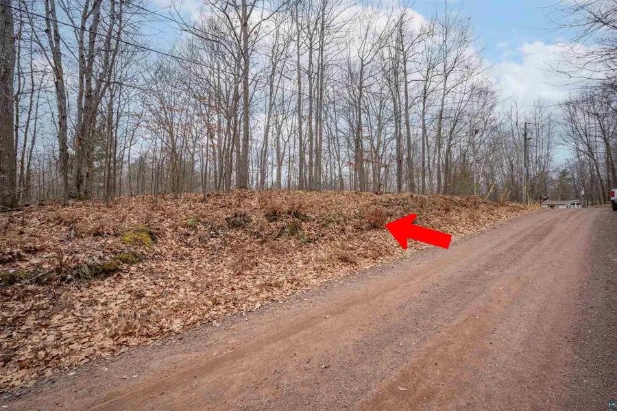 7173 S Dougs Cr, Lake Nebagamon, WI 54849 - #3