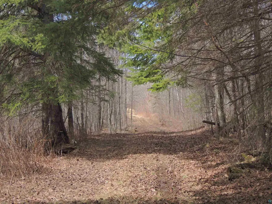 XXX Springdale Rd, Tofte, MN 55615 - #2