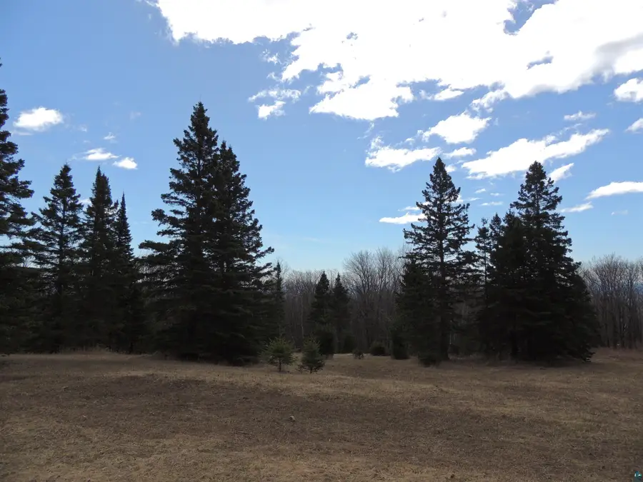 XXX Springdale Rd, Tofte, MN 55615 - #3