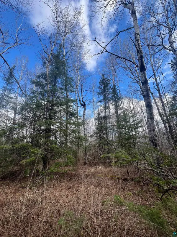 3520 Hwy 3, Two Harbors, MN 55616