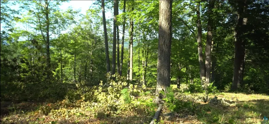 83xxx Ashwabay Heights Rd, Bayfield, WI 54814 - #3