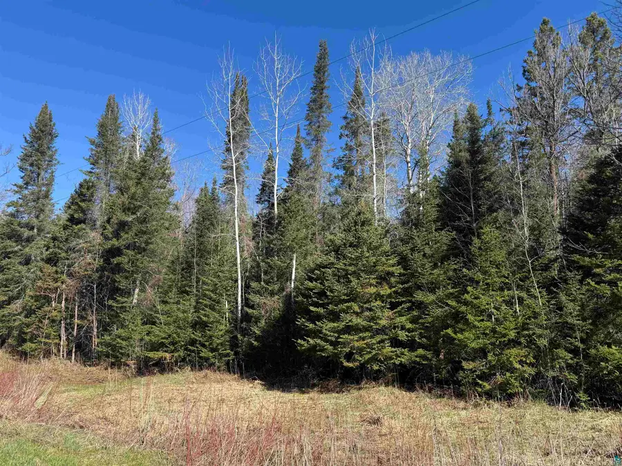 XXX Lund Rd, Maple, WI 54854 - #2