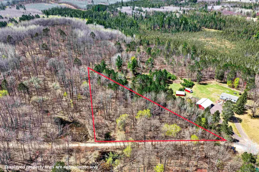 Lot 1 Peterson Rd, Wascott, WI 54859 - #2