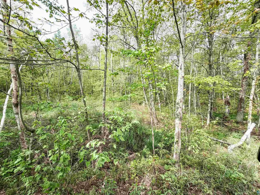Lot 1 Peterson Rd, Wascott, WI 54859 - #3