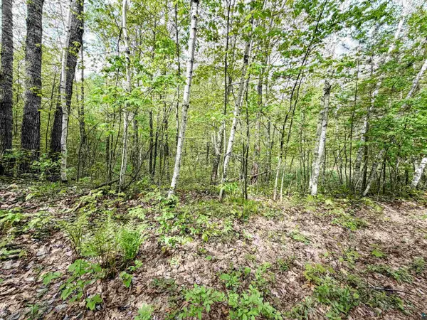 Lot 2 Peterson Rd, Wascott, WI 54859
