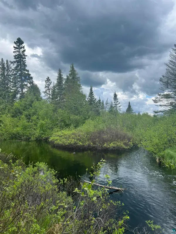 XXX Camp 26 Rd, Finland, MN 55614