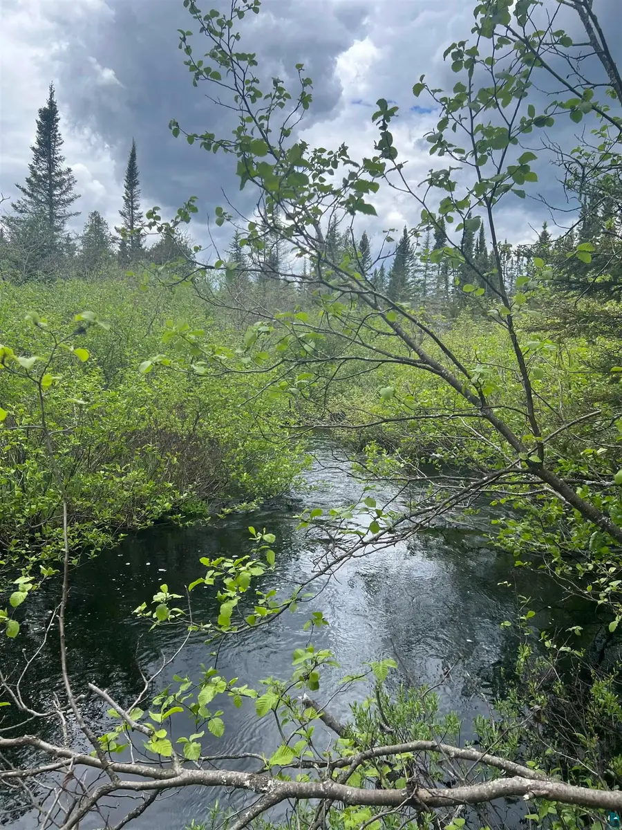 XXX Camp 26 Rd, Silver Creek, MN 55614 - #2