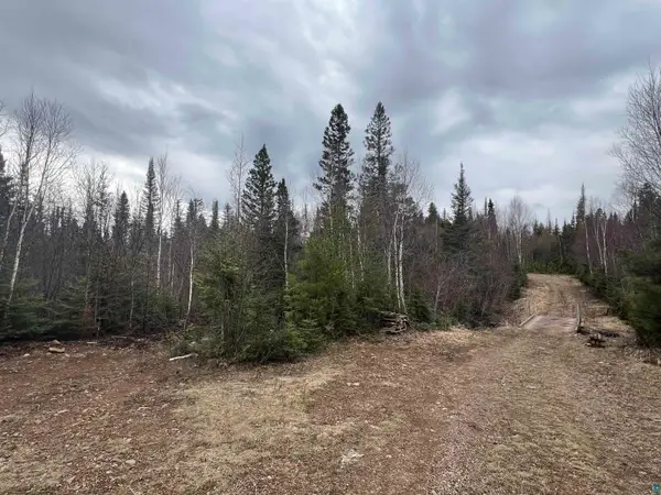XXX5 Heffelfinger Tr, Finland, MN 55614