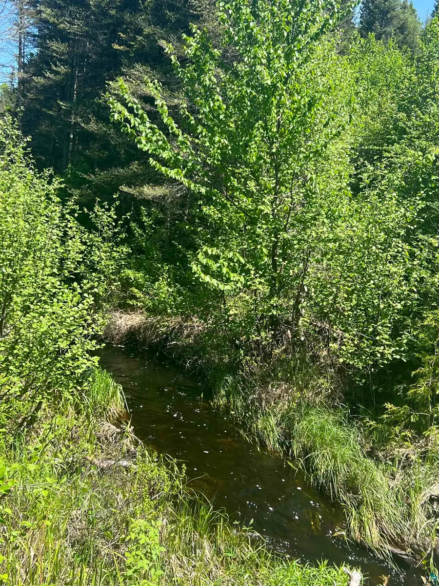 XXX5 Heffelfinger Tr, Silver Creek, MN 55614 - #2
