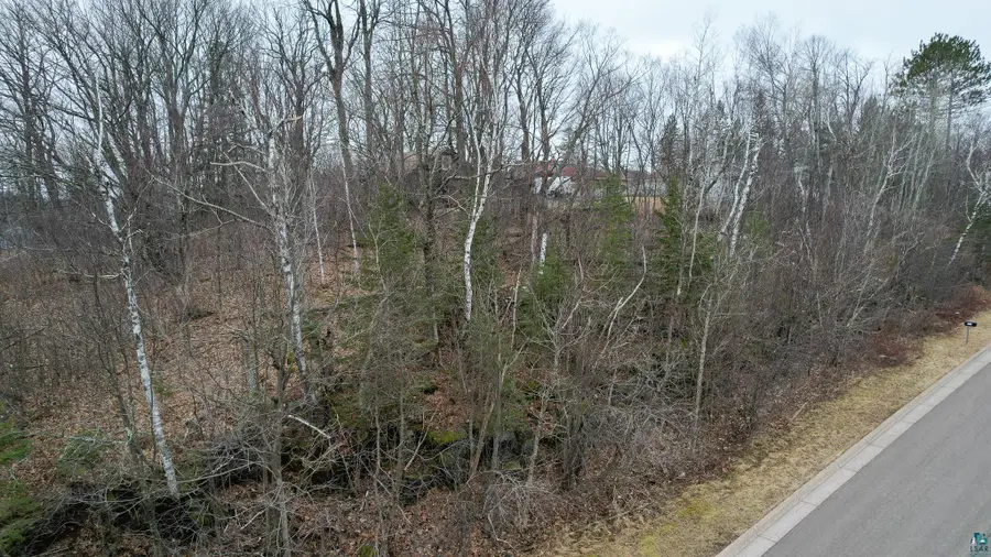 XXX W Palm St, Duluth, MN 55811 - #2