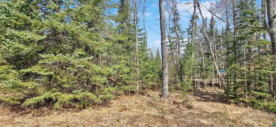 xxx Mondamin Tr, La Pointe, WI 54850 - #3