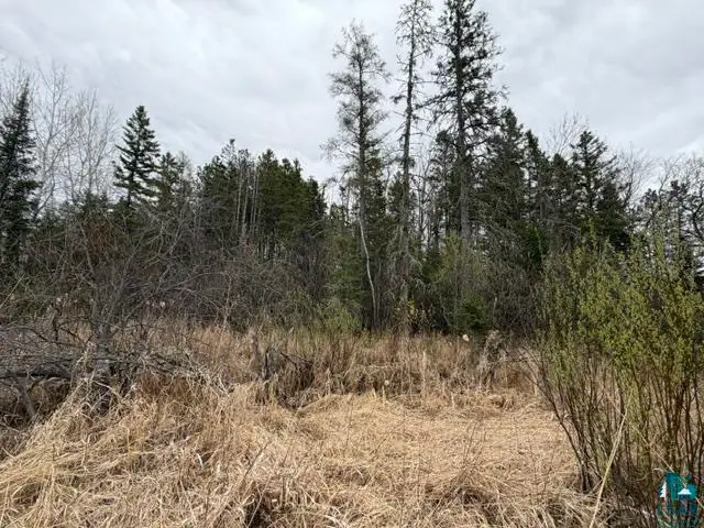 TBD 5th St Sw, Cook, MN 55723-0000 - #2