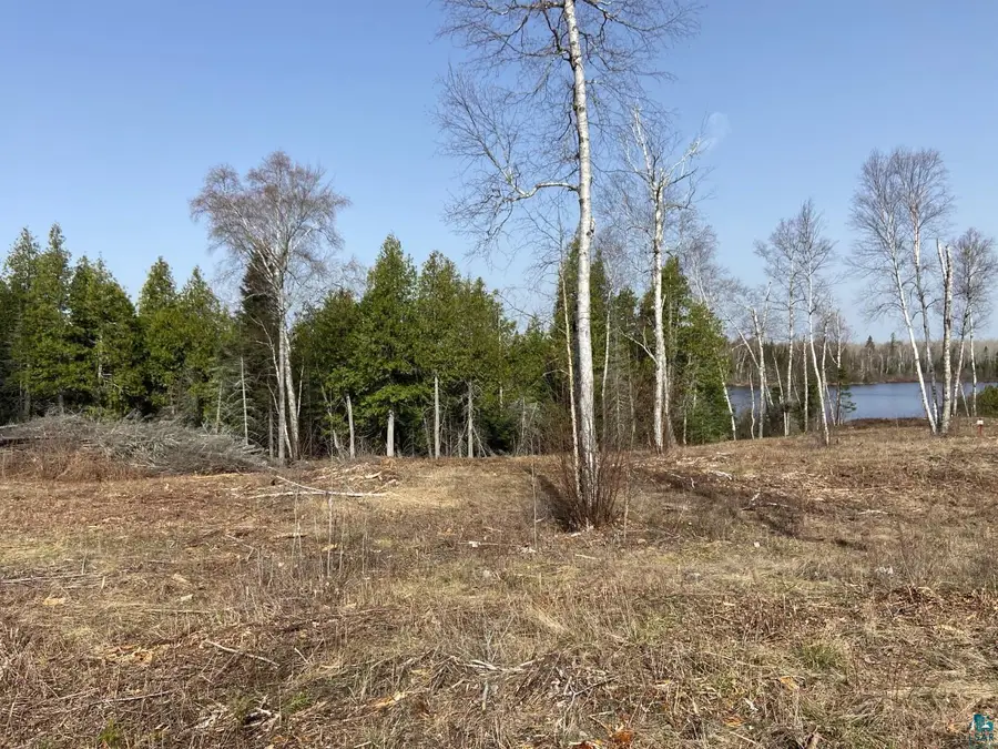 2102-1 N Bear Lake Rd, Brimson, MN 55602 - #3