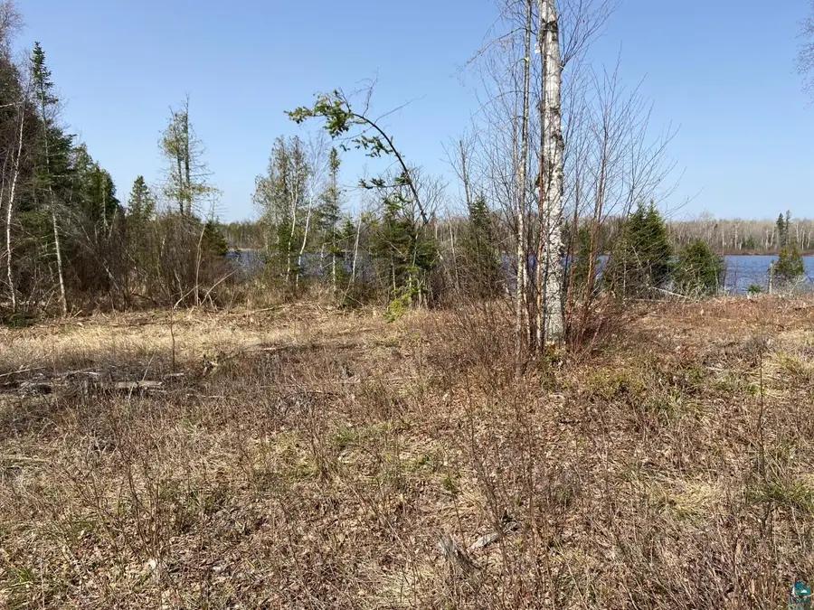 2102-3 N Bear Lake Rd, Brimson, MN 55602 - #3