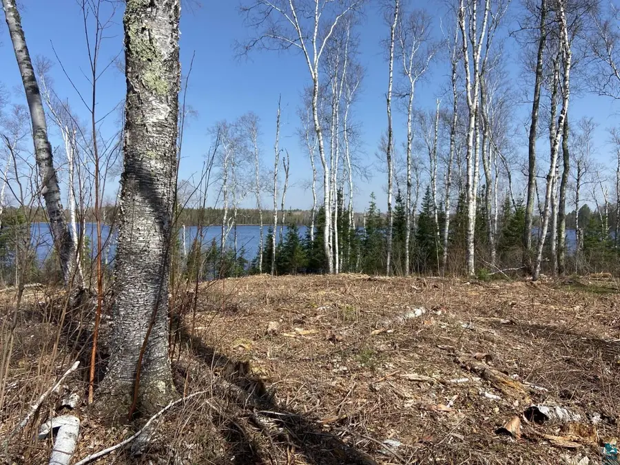 2102-7 N Bear Lake Rd, Brimson, MN 55602 - #2