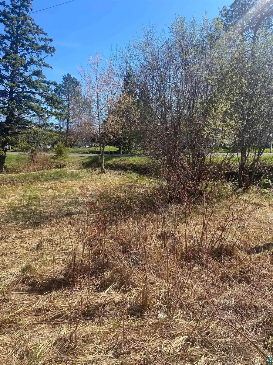 28XX Hutchinson Rd, Duluth, MN 55811 - #3
