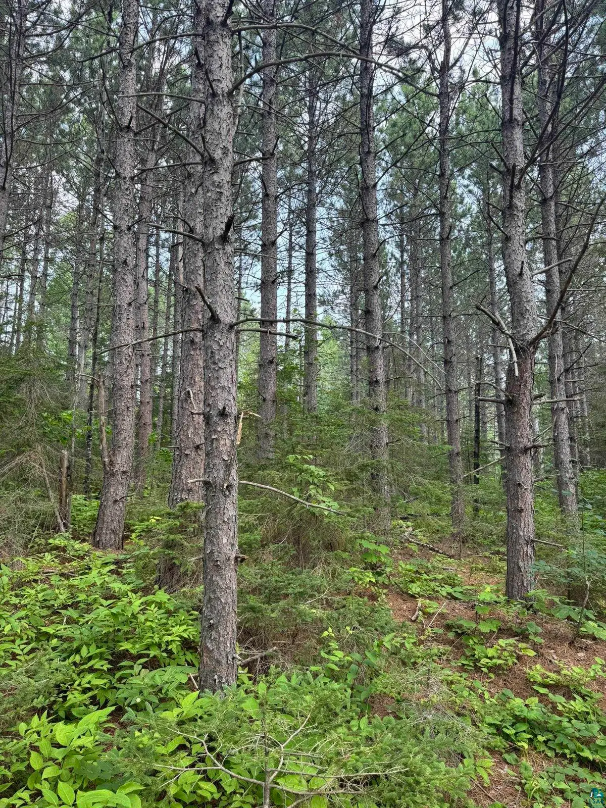 XX High Ridge Dr, Beaver Bay, MN 55614 - #1