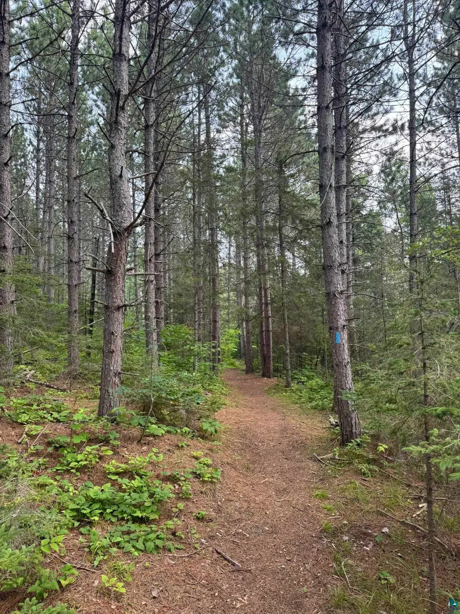 XX High Ridge Dr, Beaver Bay, MN 55614 - #3