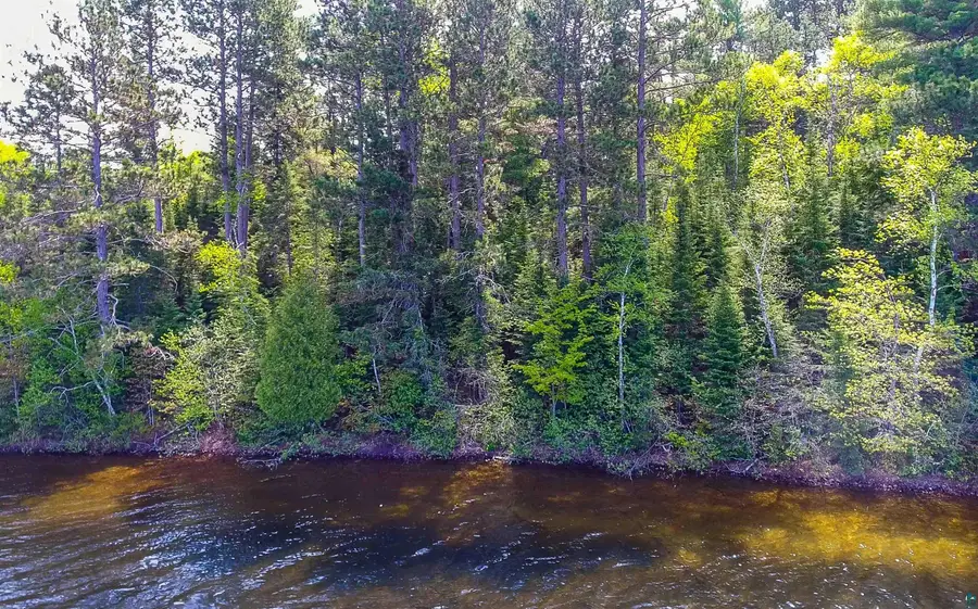 3506 Hanson Lake Rd, Ely, MN 55731 - #3