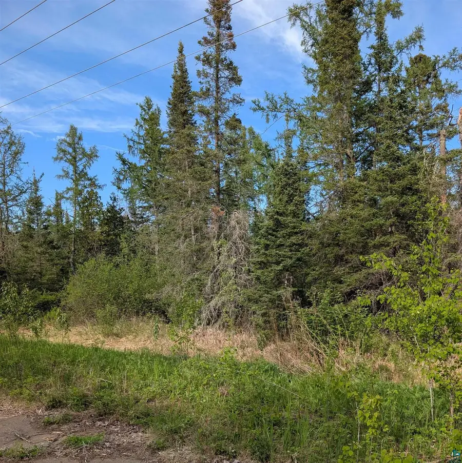 XXXX Rice Lake Rd, Duluth, MN 55803 - #2