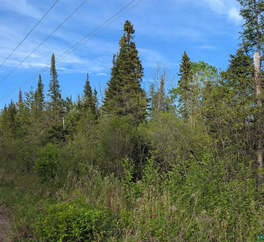 XXXX Rice Lake Rd, Duluth, MN 55803 - #3