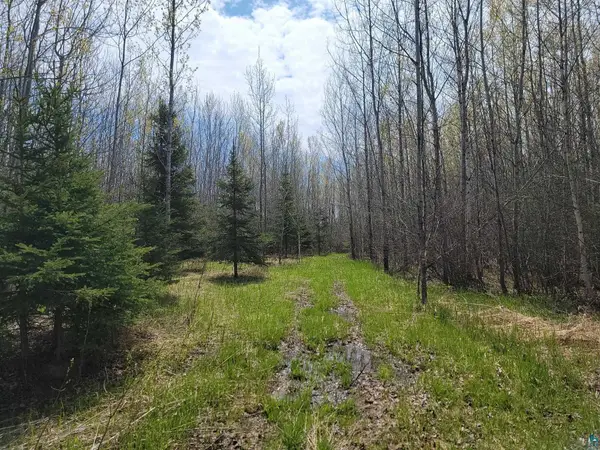 80X Sled Dog Trl, Hovland, MN 55606