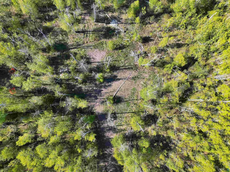 9223 Hwy 61 W, Schroeder, MN 55613 - #2
