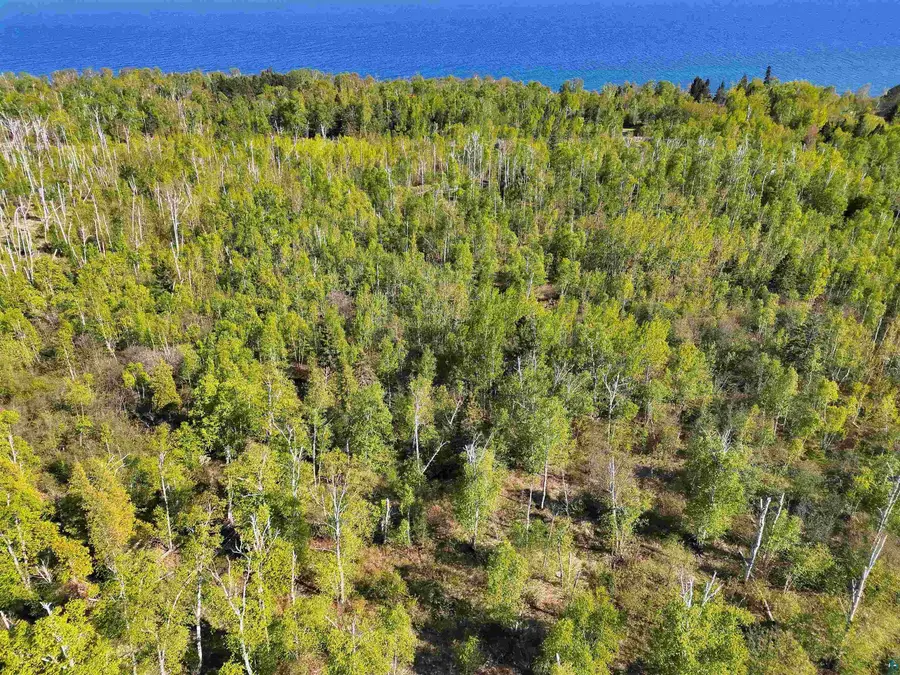 9223 Hwy 61 W, Schroeder, MN 55613 - #3