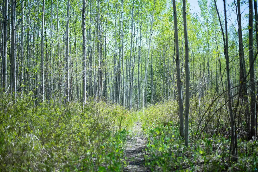 13 Coyote Ridge, Grand Marais, MN 55604 - #3