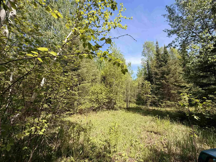 9685 Gunflint Tr, Grand Marais, MN 55604 - #2