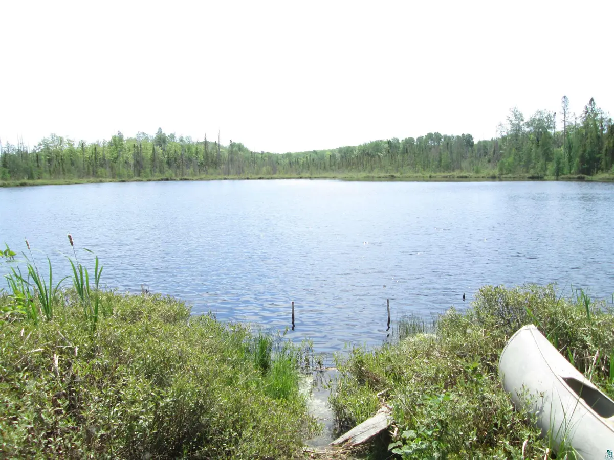 4606 Maki Rd, Brookston, MN 55711 - #1
