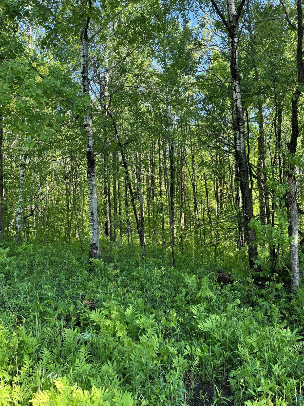 xxx Beaver Creek Rd, Hermantown, MN 55811 - #1
