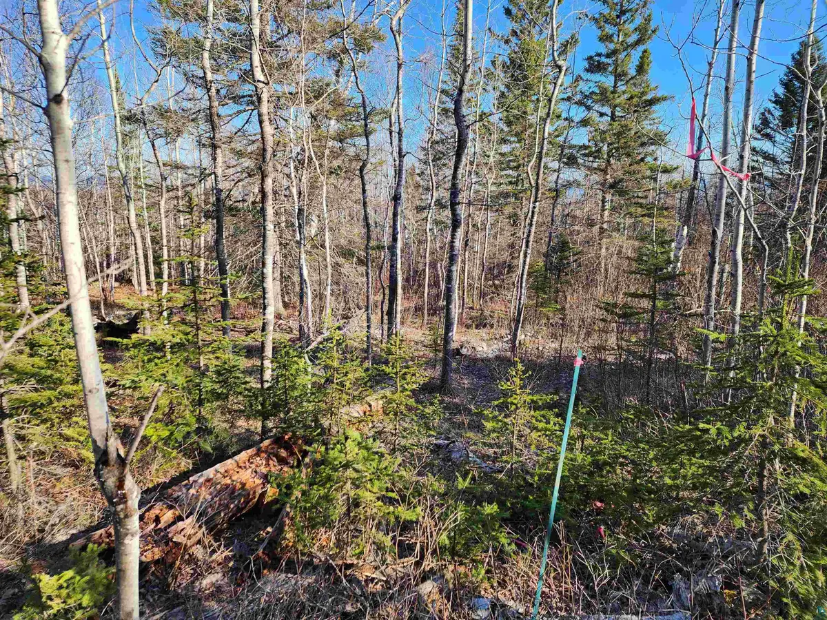 56XX-B Highway 61, Lutsen, MN 55612 - #1