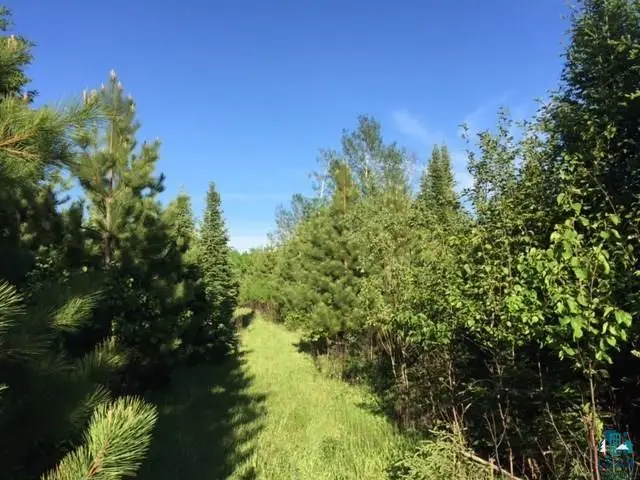 1142 Camp 20 Rd, Hovland, MN 55606 - #1