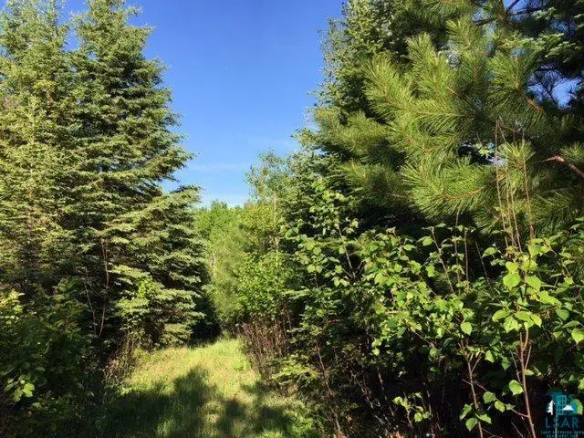 1142 Camp 20 Rd, Hovland, MN 55606 - #3