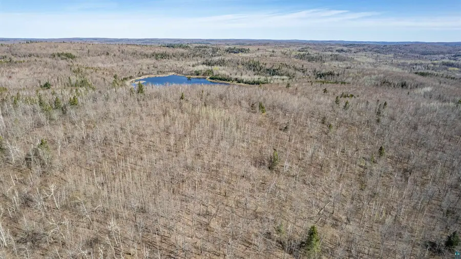TBD Mountain Home Tr, Little Marais, MN 55614 - #3