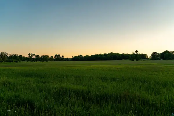 10 Acres on Viater Rd, Washburn, WI 54891