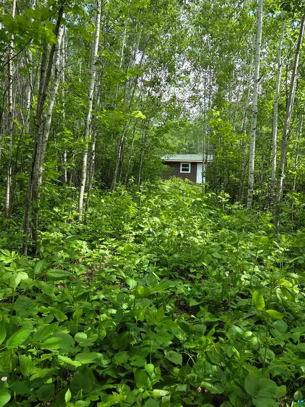 XXX Mt Nelson Rd, Mahtowa, MN 55707
