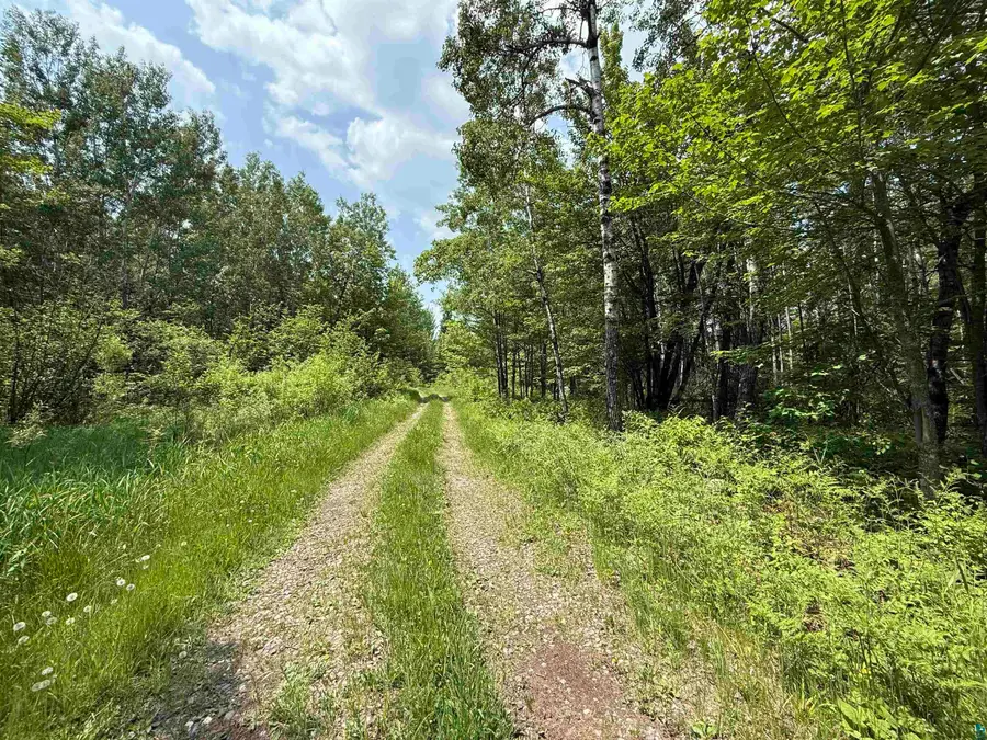 TBD Samuelson Rd, Angora, MN 55703 - #3