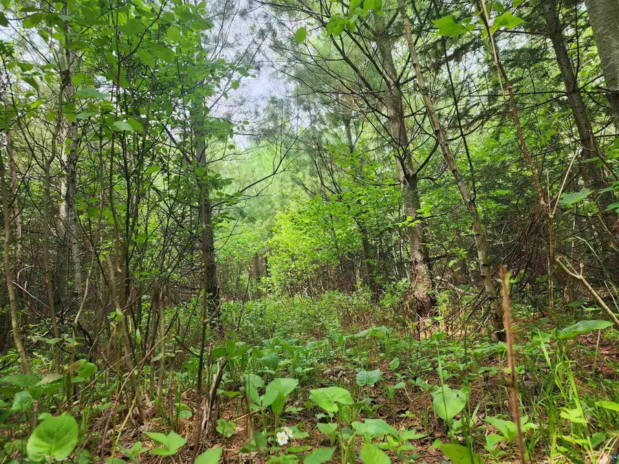 XXX Cascade Bluffs, Grand Marais, MN 55604 - #3