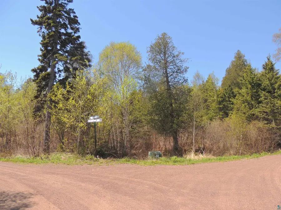 1X Mountain Ash Ln, Lutsen, MN 55612 - #3