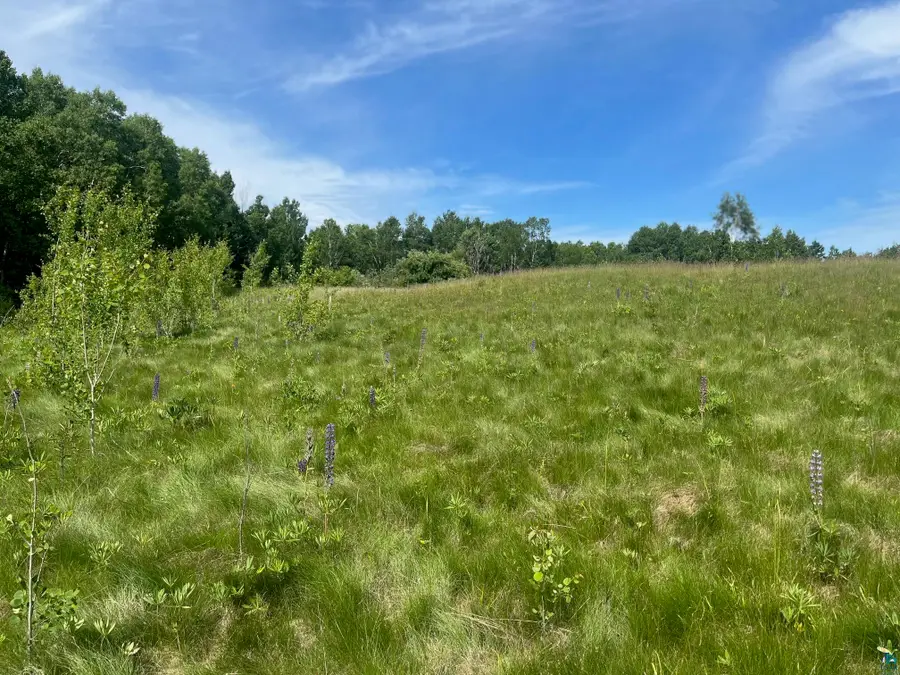 57xx Howard Gnesen Rd, Rice Lake, MN 55803 - #2