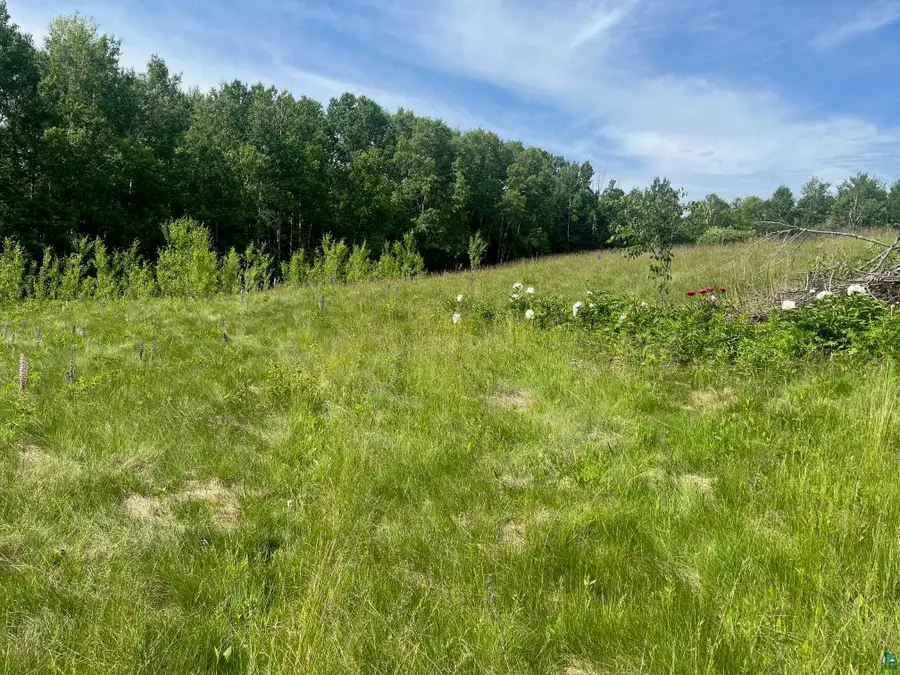 57xx Howard Gnesen Rd, Rice Lake, MN 55803 - #3