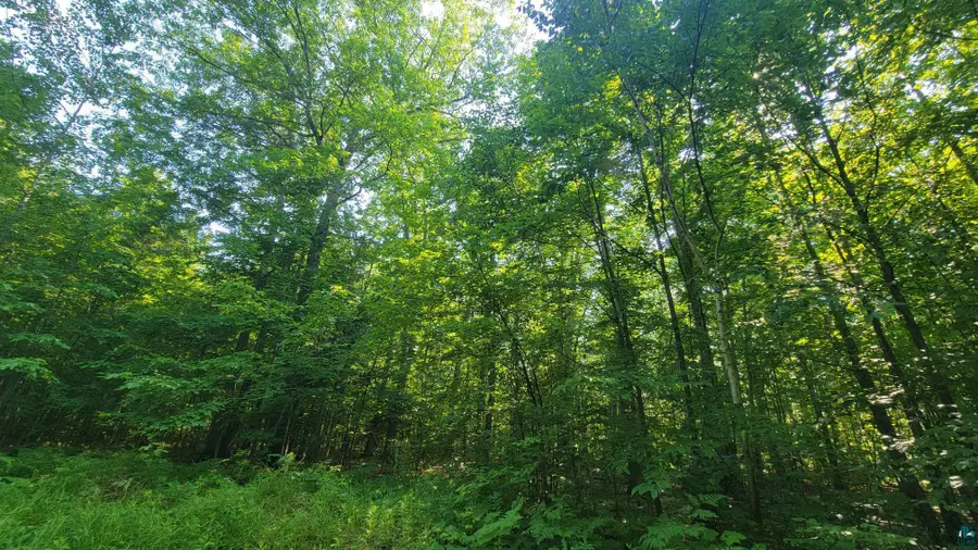 E Half Mile Rd, Herbster, WI 54844 - #2