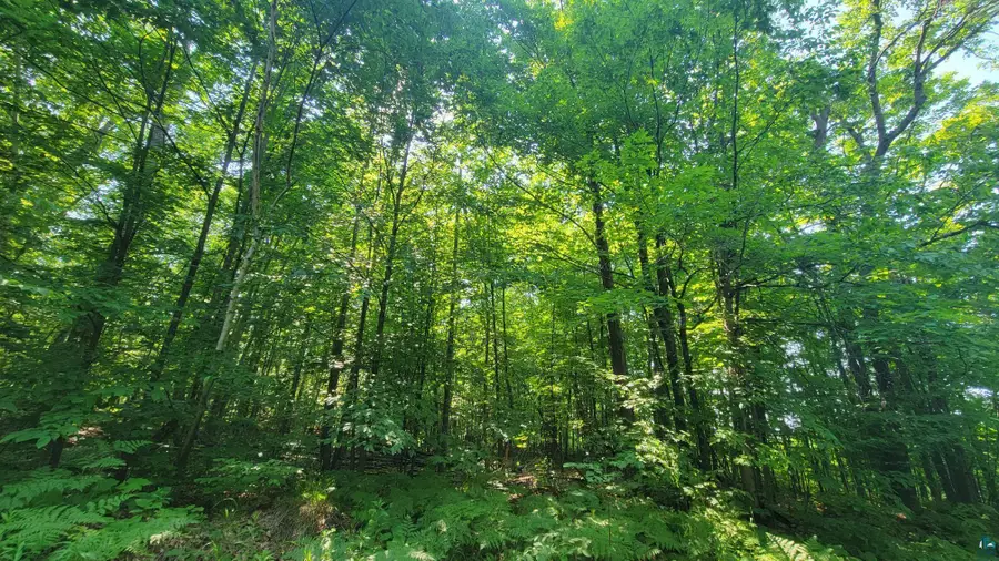E Half Mile Rd, Herbster, WI 54844 - #3