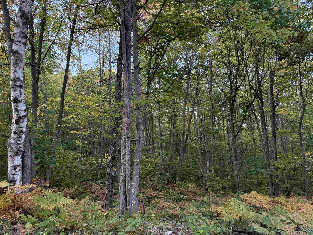 000 Highway 2, Iron River, WI 54847 - #1