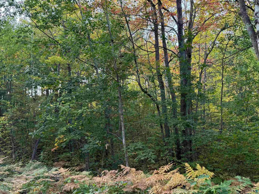 000 Highway 2, Iron River, WI 54847 - #2