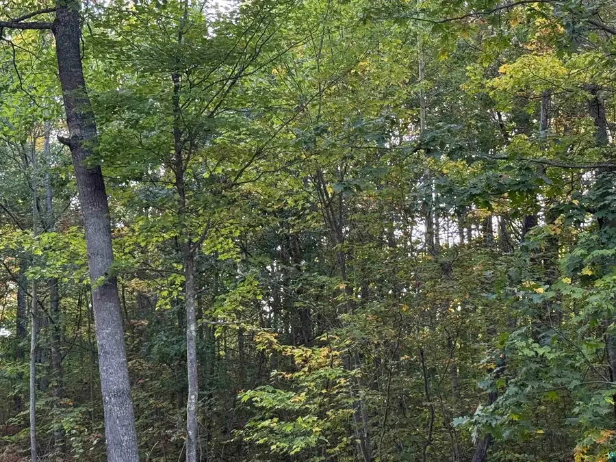 000 Highway 2, Iron River, WI 54847 - #3