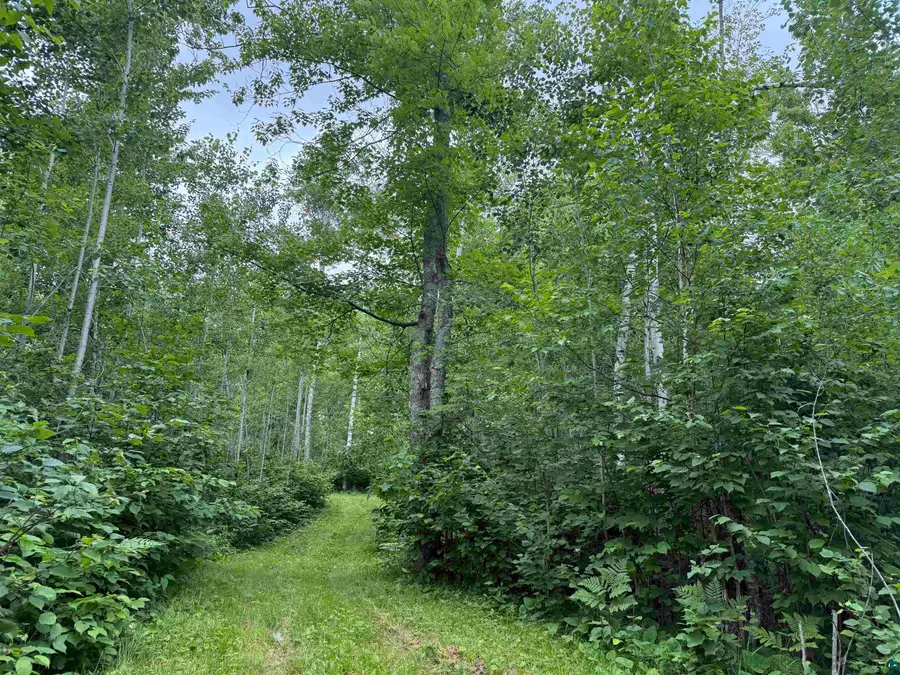 58059 Wolf Creek Rd, Sandstone, MN 55072 - #2