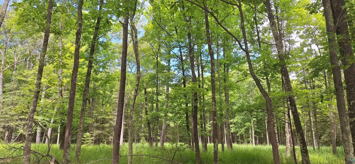 xxx South Shore Rd, La Pointe, WI 54850 - #1